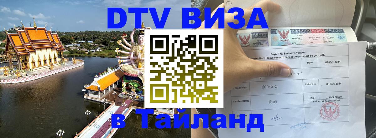 Сколько стоит DTV виза — актуальные цены, оформление даже без документов - Ноябрьск  18.11.2025 